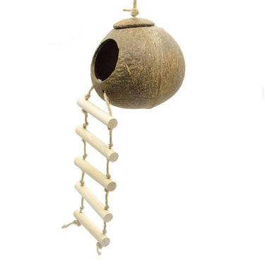 nid coco oiseaux mouche